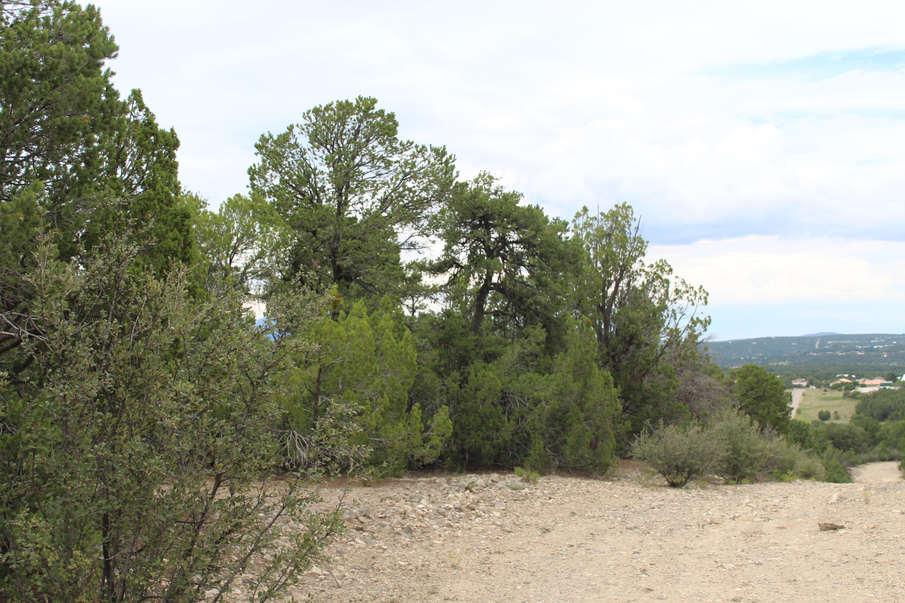 3 Manzano Loop, Tijeras, New Mexico image 11