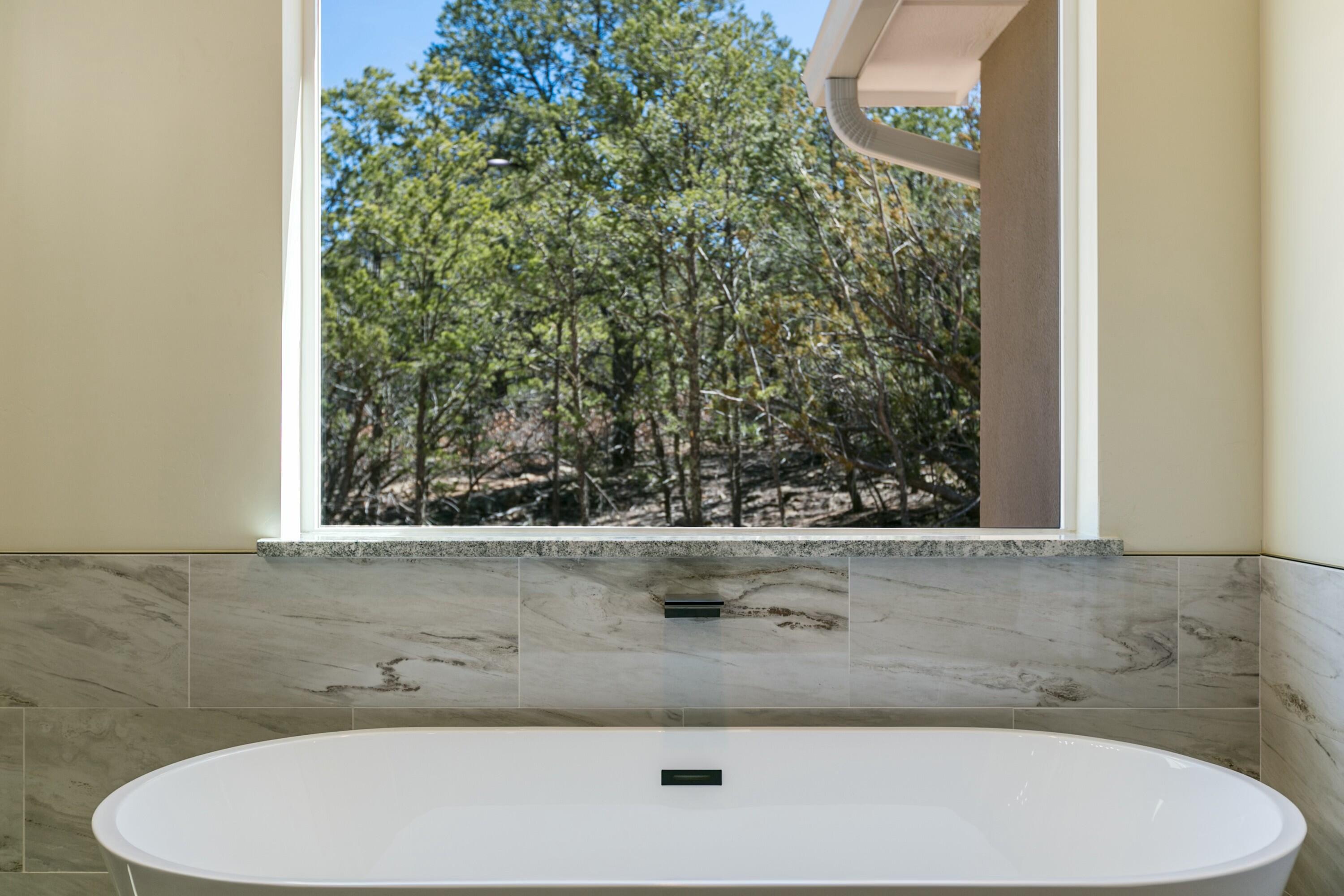 16 Briarwood Court, Edgewood, New Mexico image 24