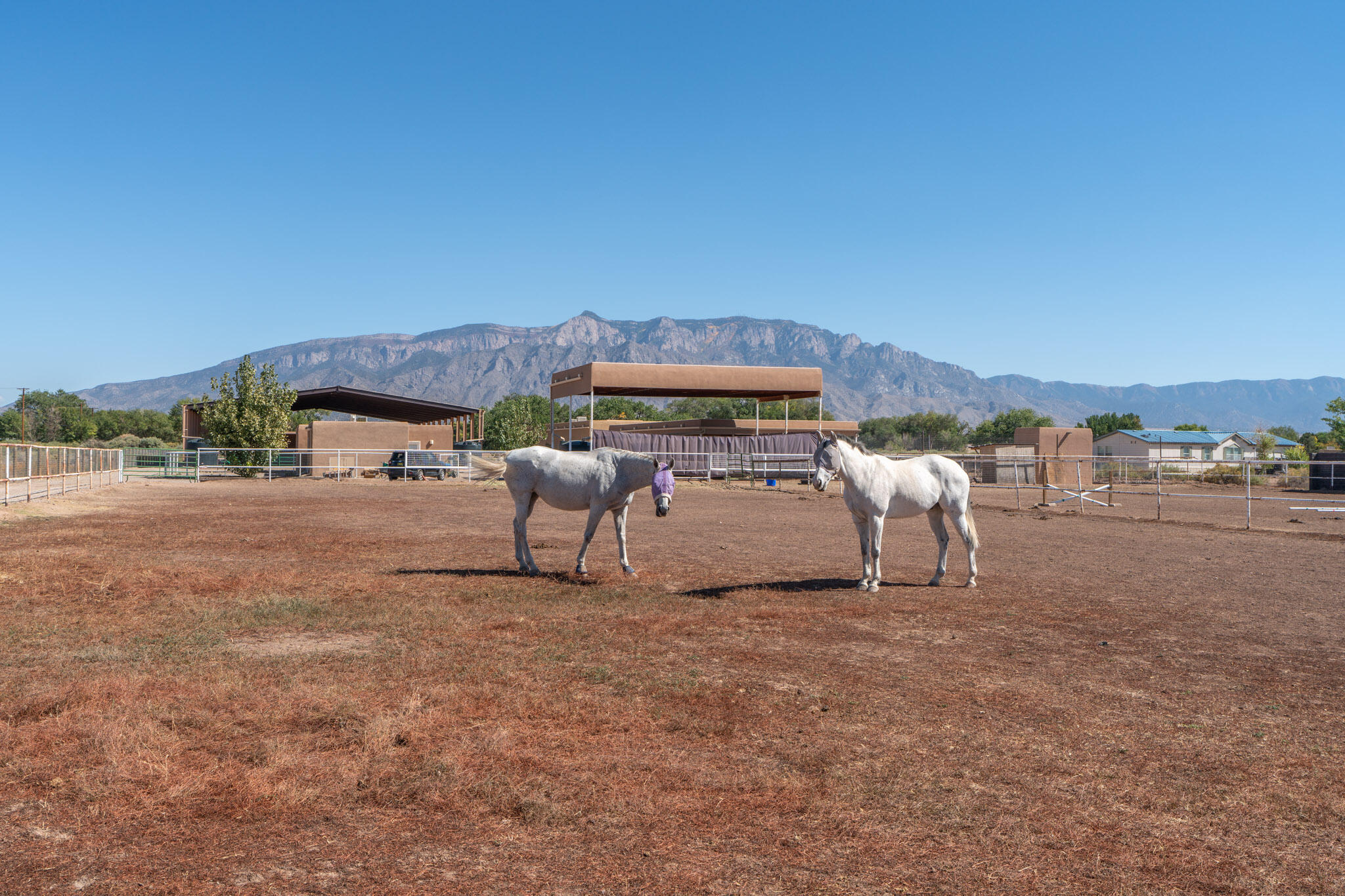 1 Calle Caballo Road, Corrales, New Mexico image 1