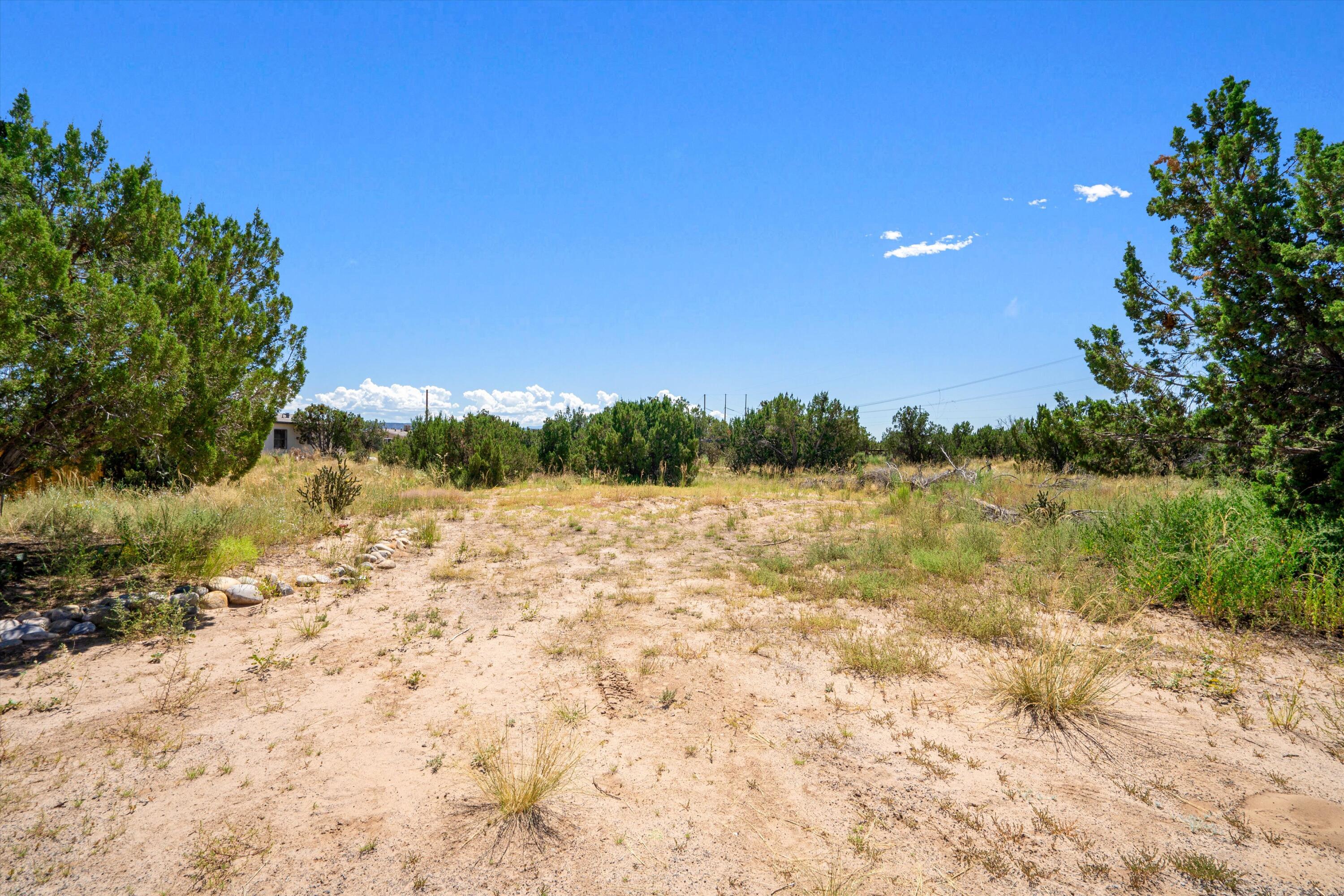 265A County Rd 140, Medanales, New Mexico image 3