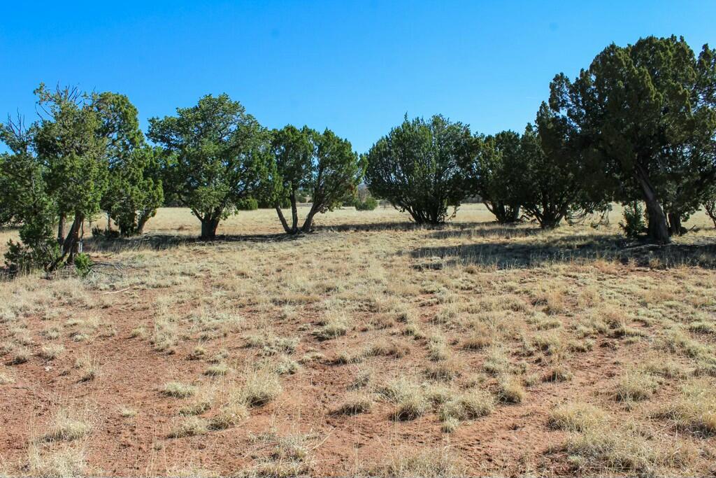 TBD Frontage Road 2116, San Jose, New Mexico image 15