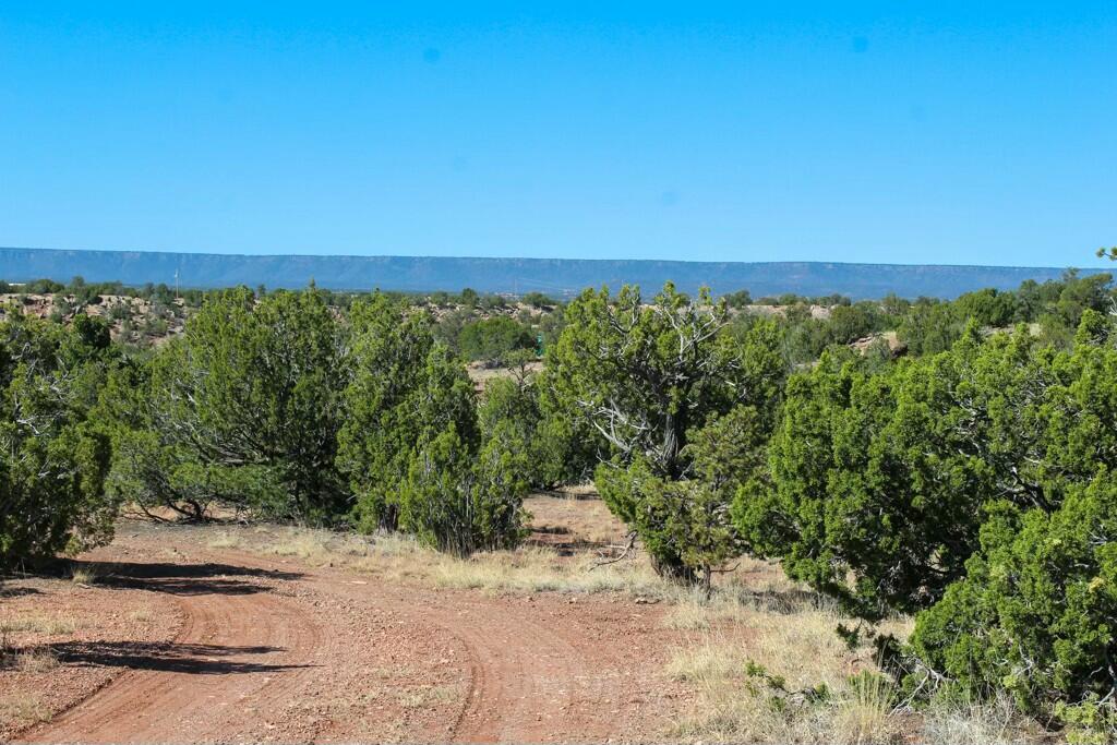 TBD Frontage Road 2116, San Jose, New Mexico image 19
