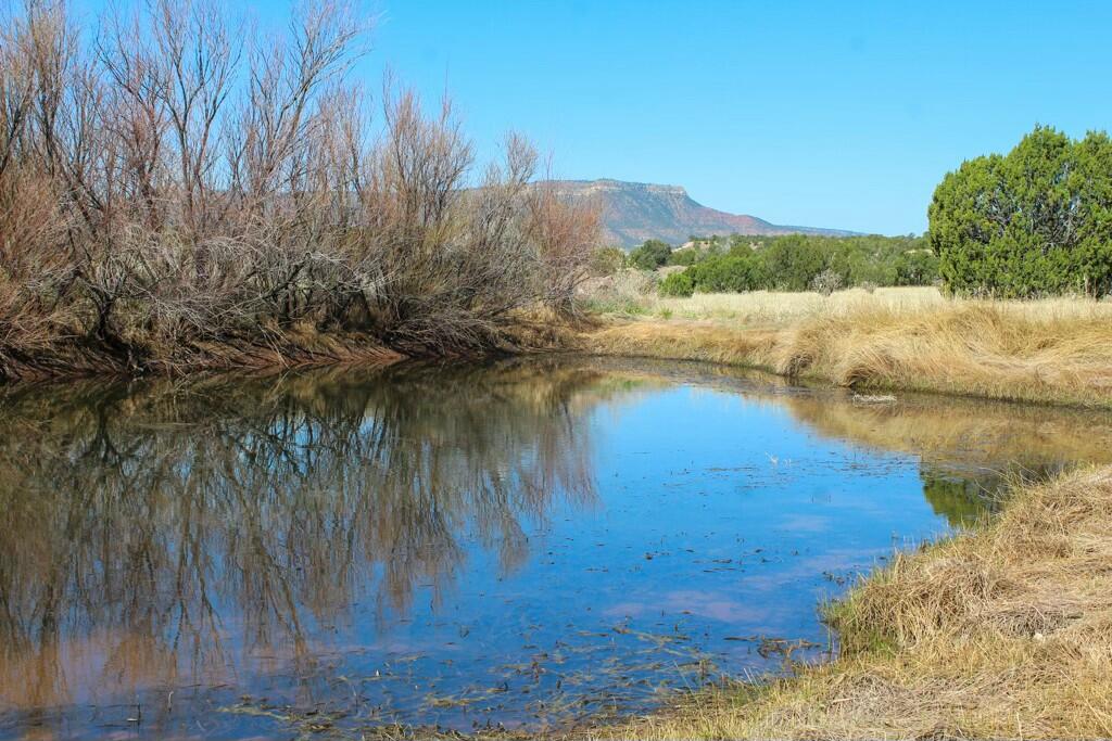 TBD Frontage Road 2116, San Jose, New Mexico image 10