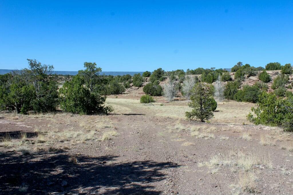 TBD Frontage Road 2116, San Jose, New Mexico image 42