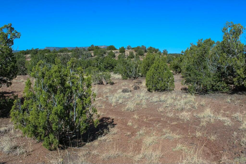TBD Frontage Road 2116, San Jose, New Mexico image 40