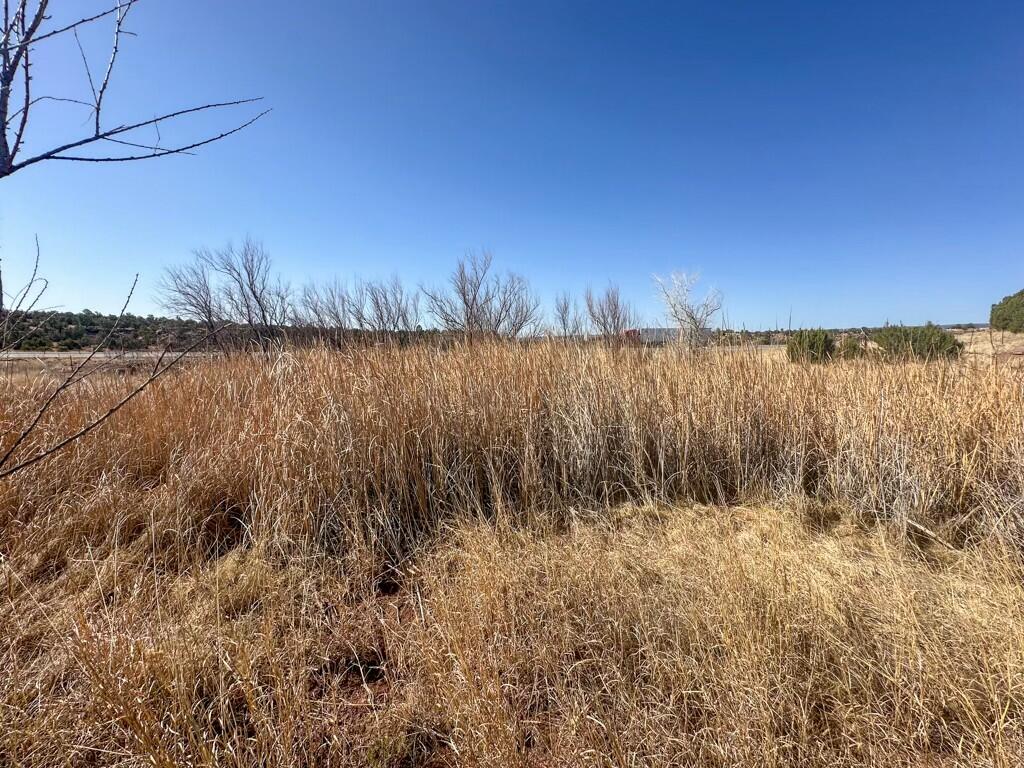 TBD Frontage Road 2116, San Jose, New Mexico image 22