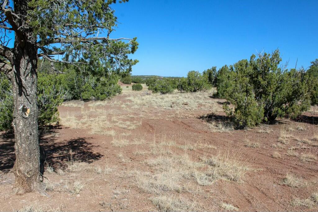TBD Frontage Road 2116, San Jose, New Mexico image 41