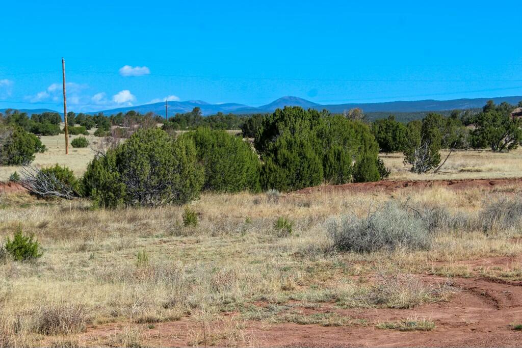 TBD Frontage Road 2116, San Jose, New Mexico image 11