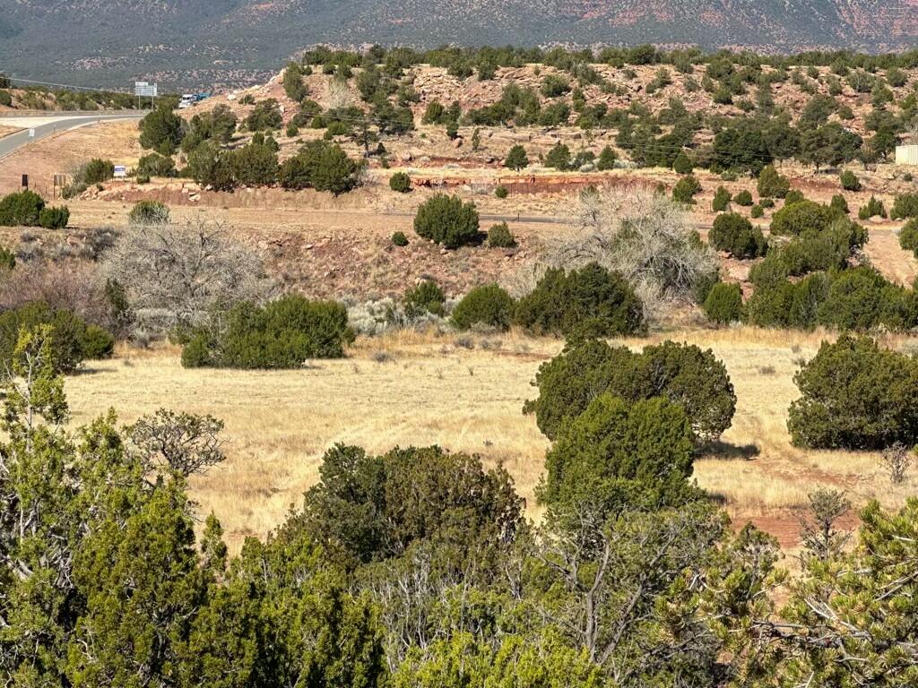 TBD Frontage Road 2116, San Jose, New Mexico image 7