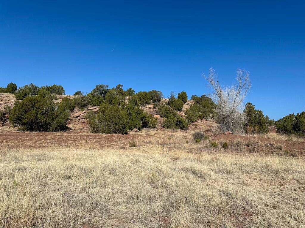 TBD Frontage Road 2116, San Jose, New Mexico image 20