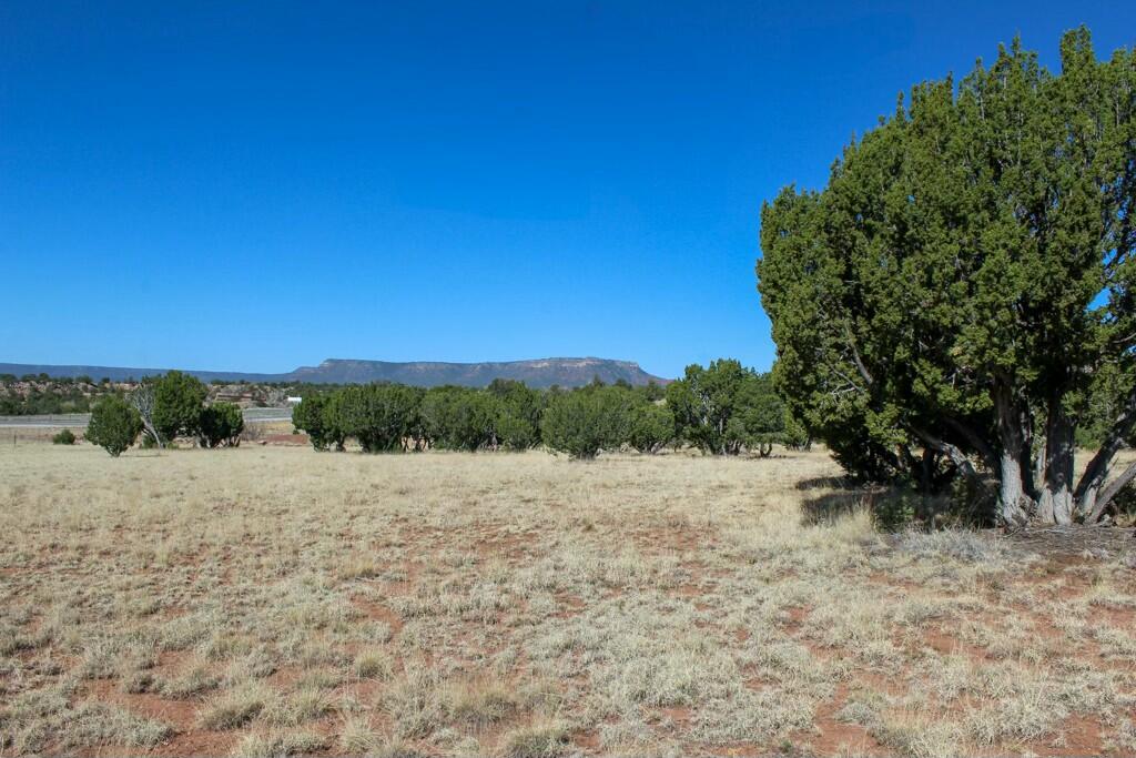 TBD Frontage Road 2116, San Jose, New Mexico image 14