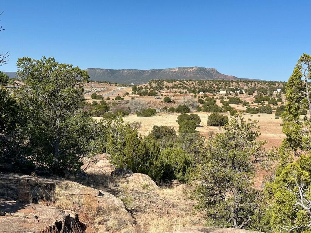 TBD Frontage Road 2116, San Jose, New Mexico image 5