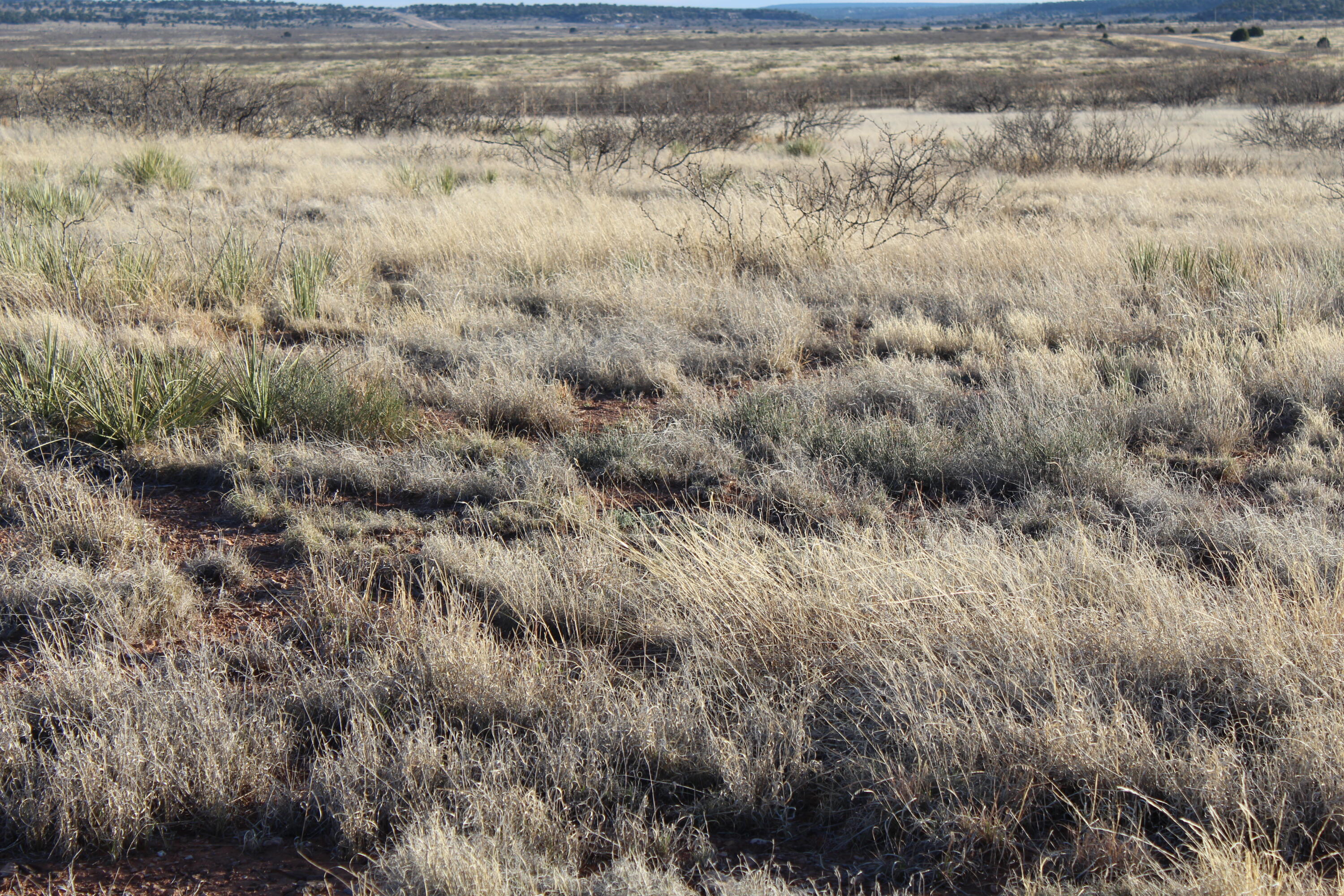 7306 Nm Highway 104, Conchas Dam, New Mexico image 4