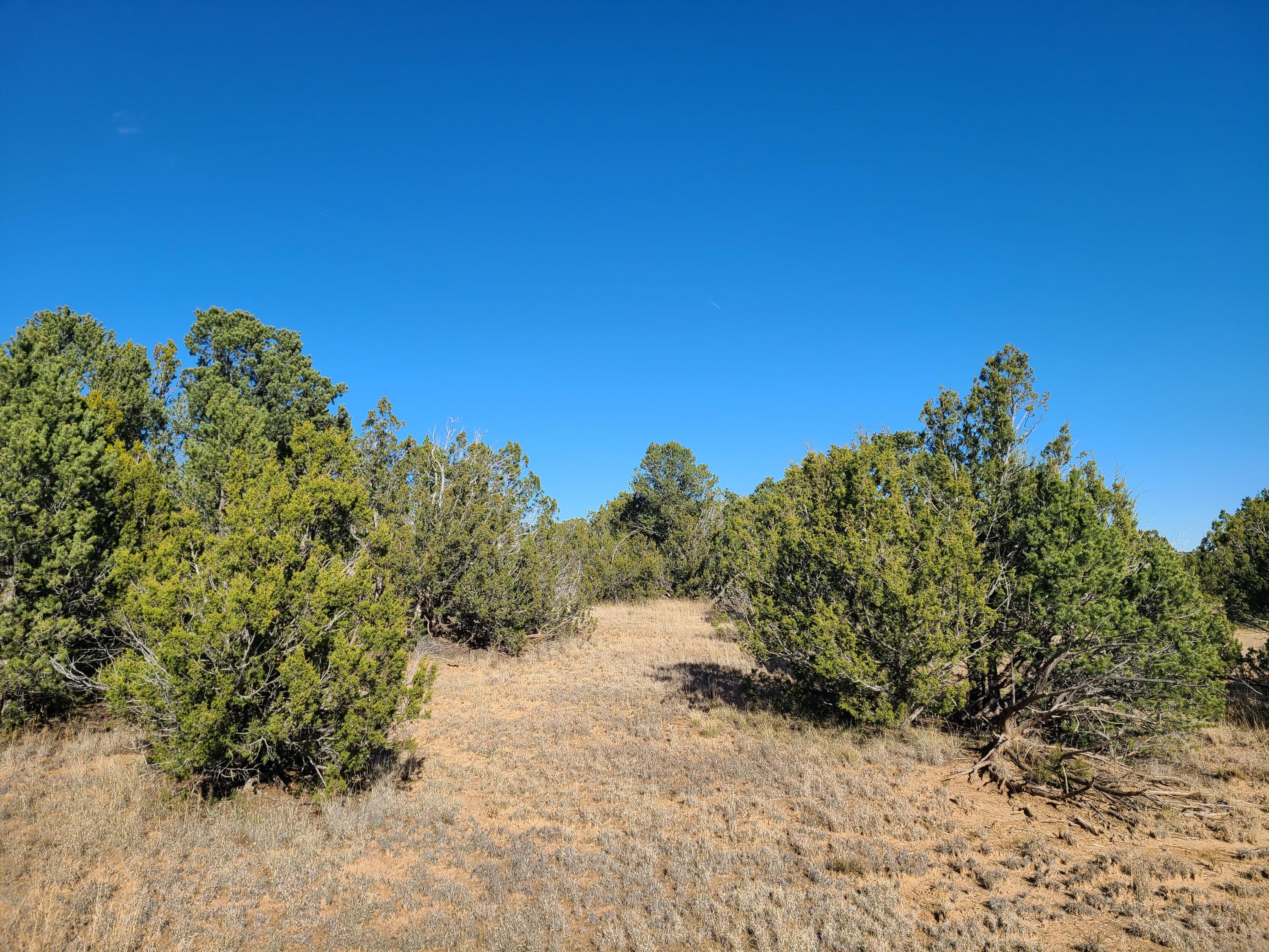 County Rd A012 #15, Tajique, New Mexico image 10