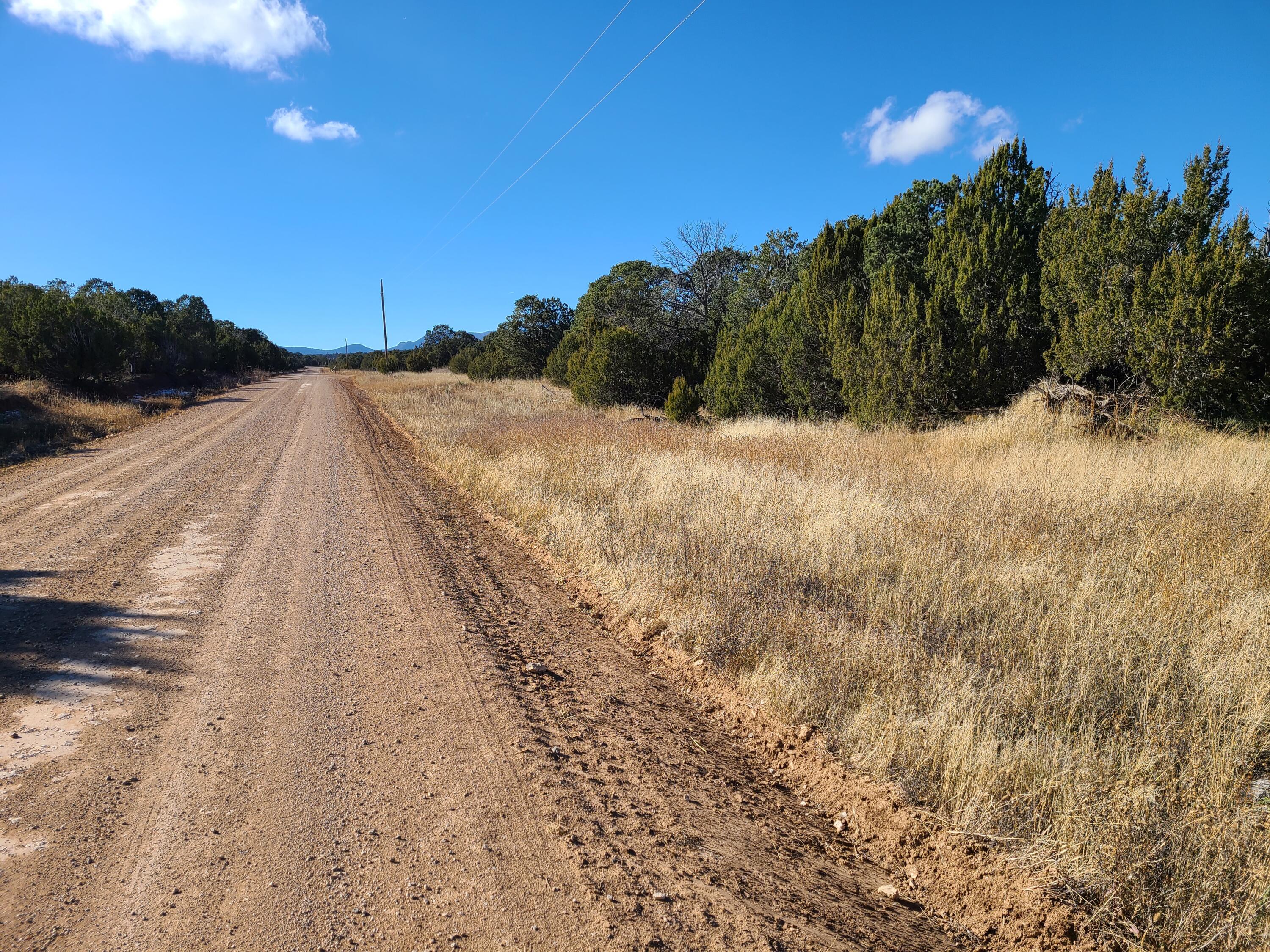 County Rd A012 #15, Tajique, New Mexico image 13