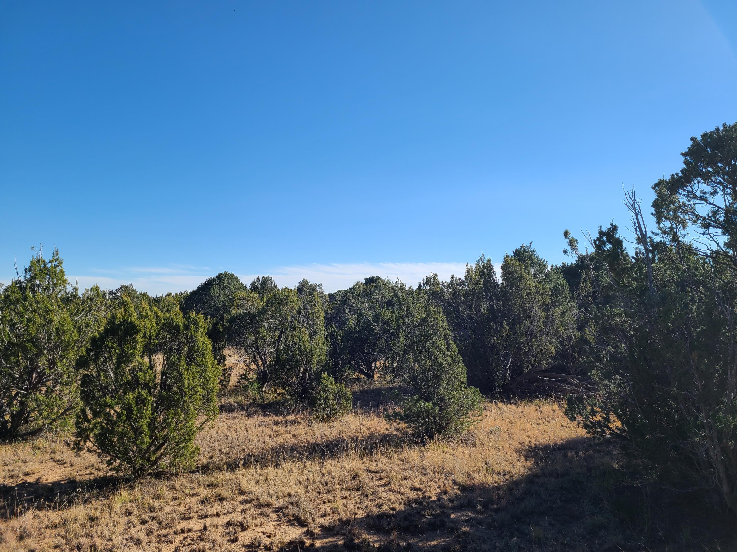 County Rd A012 #15, Tajique, New Mexico image 11