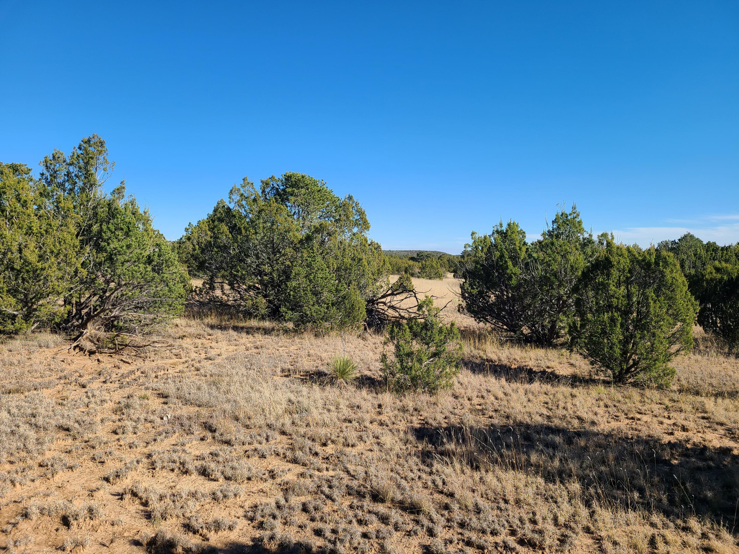 County Rd A012 #15, Tajique, New Mexico image 9