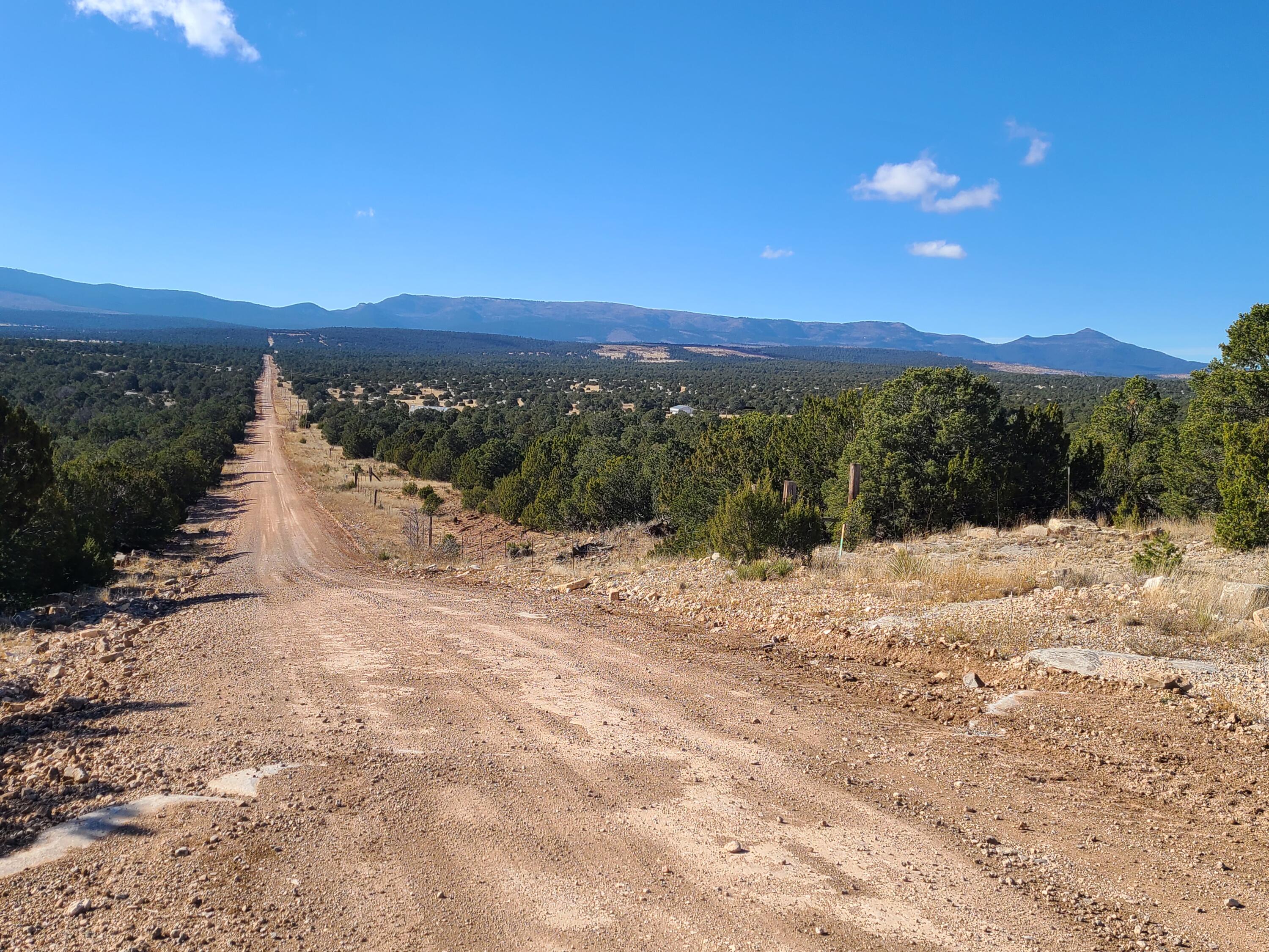 County Rd A012 #15, Tajique, New Mexico image 7