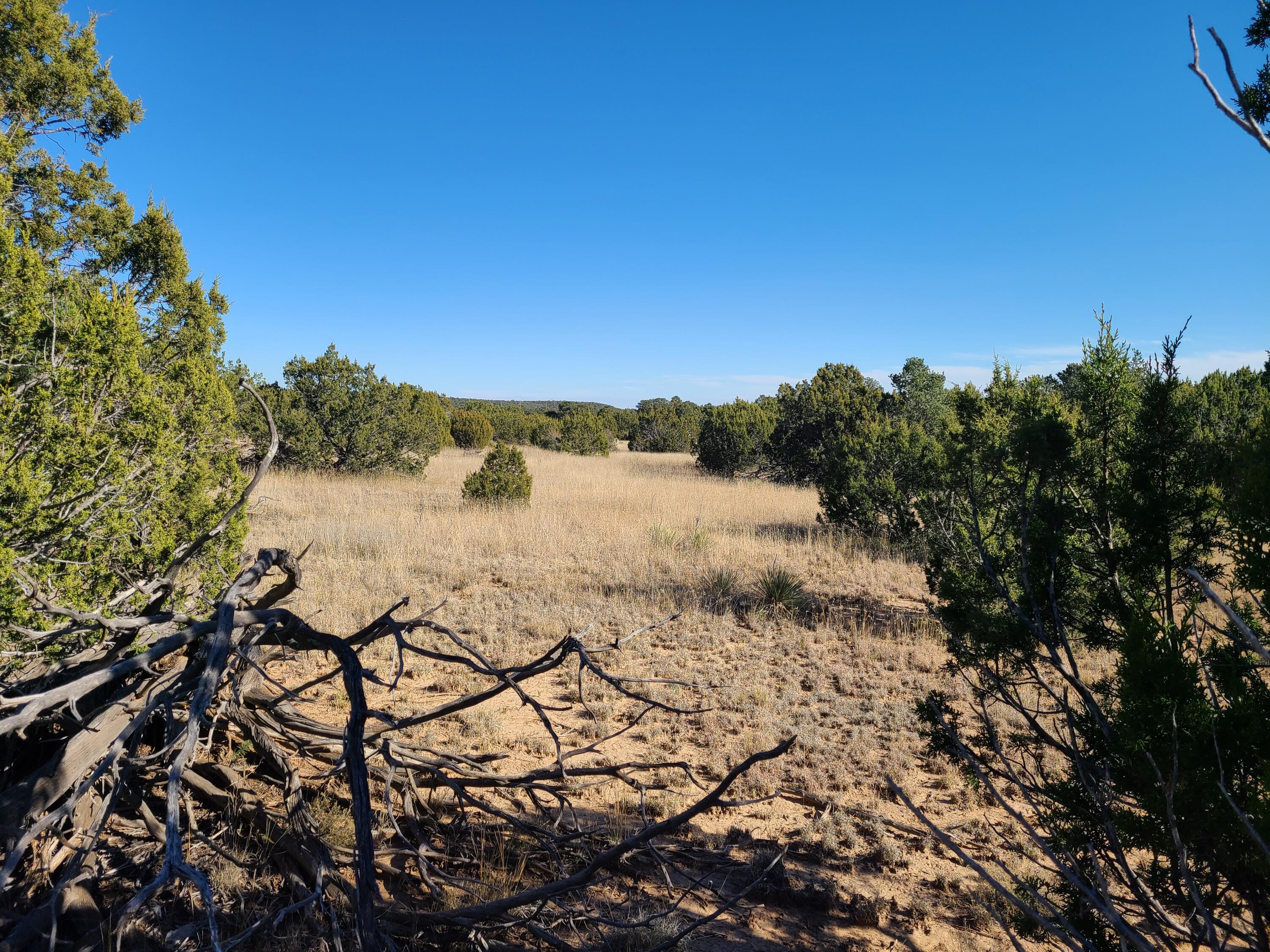 County Rd A012 #15, Tajique, New Mexico image 12