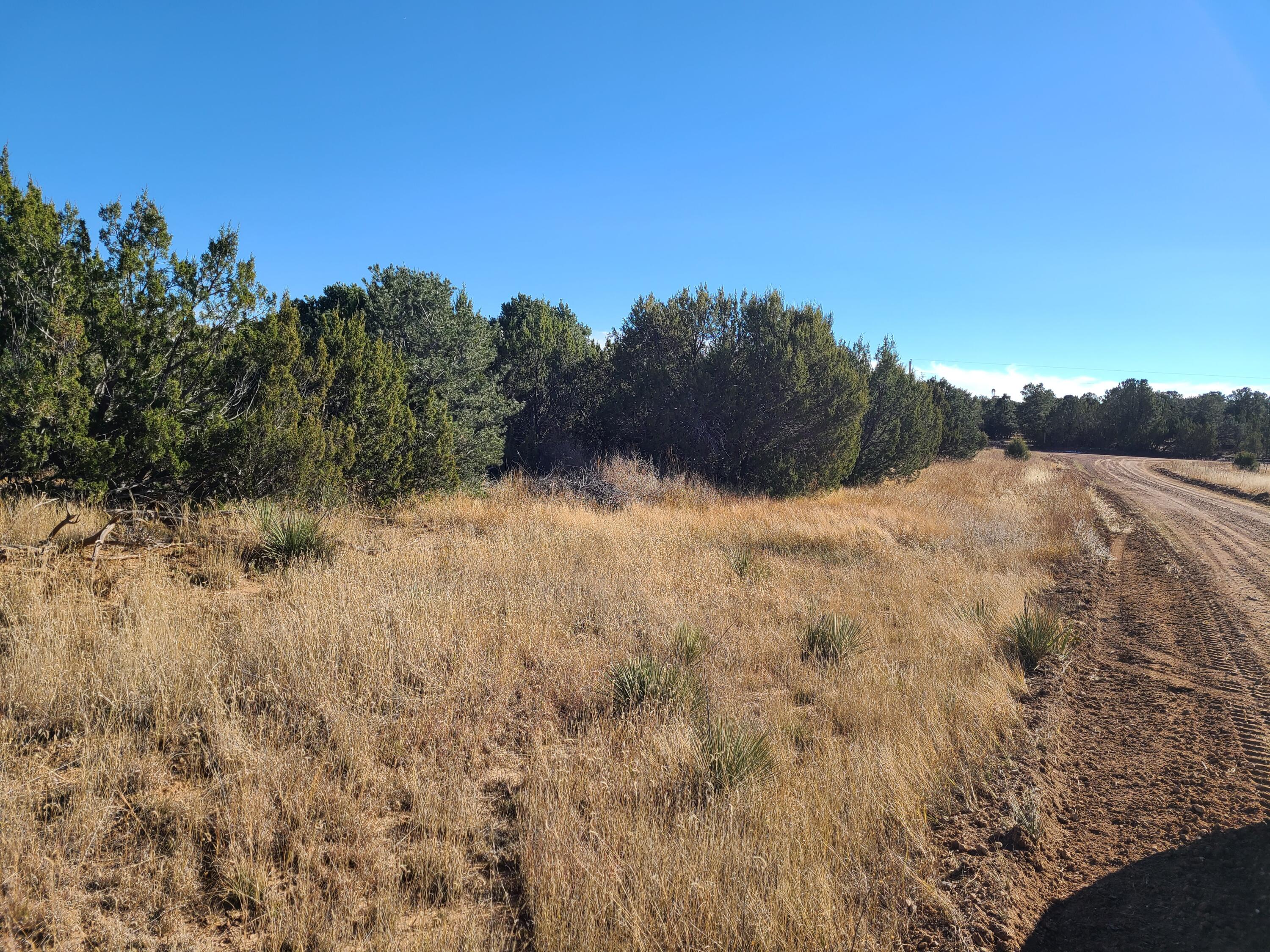 County Rd A012 #15, Tajique, New Mexico image 8