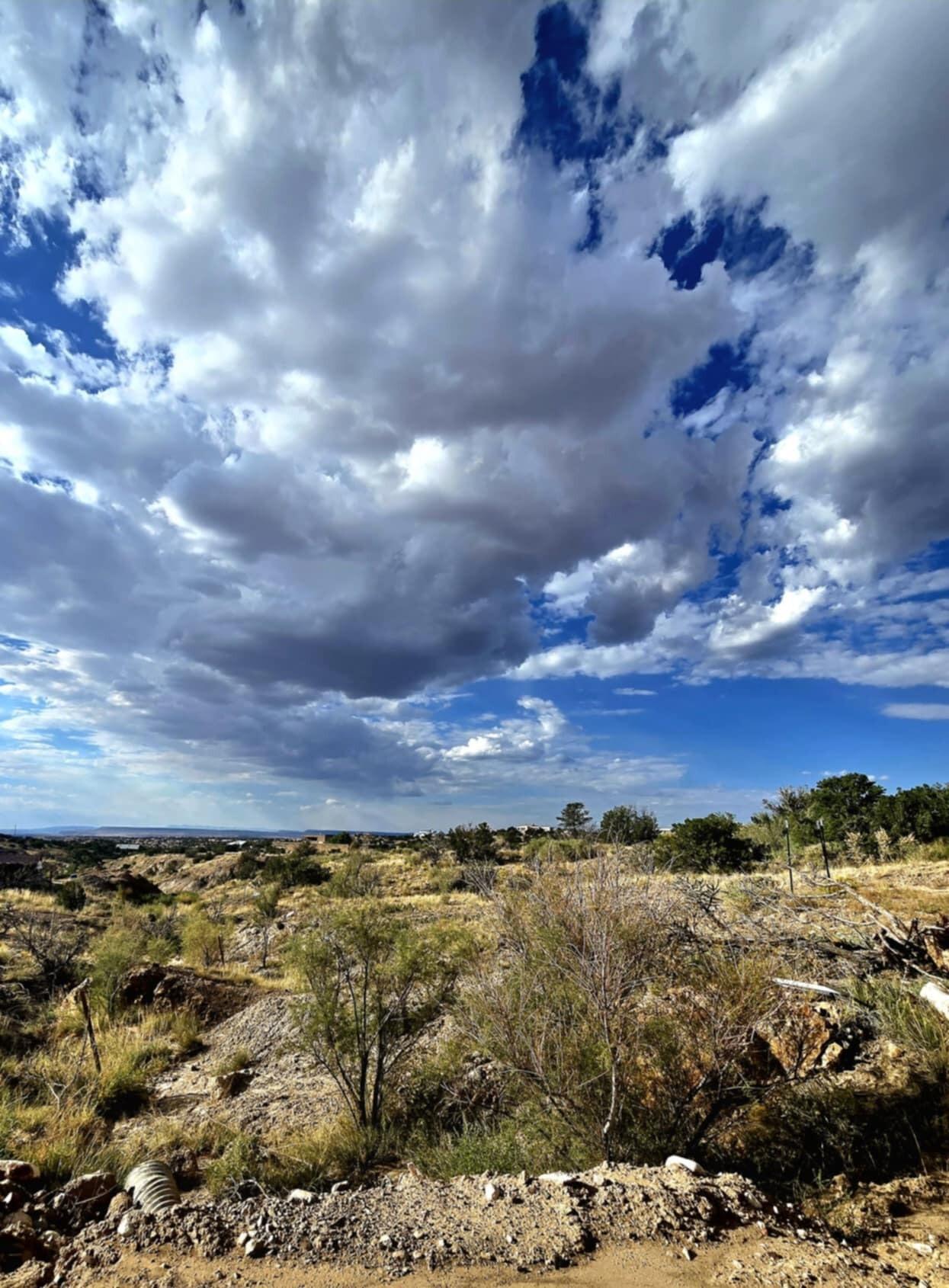 19 Las Brisas Lane, Placitas, New Mexico image 16