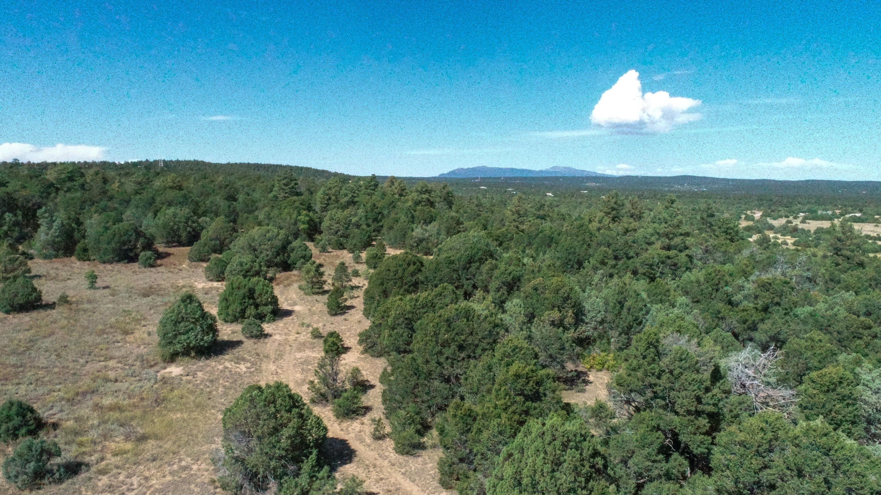 10398 Nm 337, Tijeras, New Mexico image 22