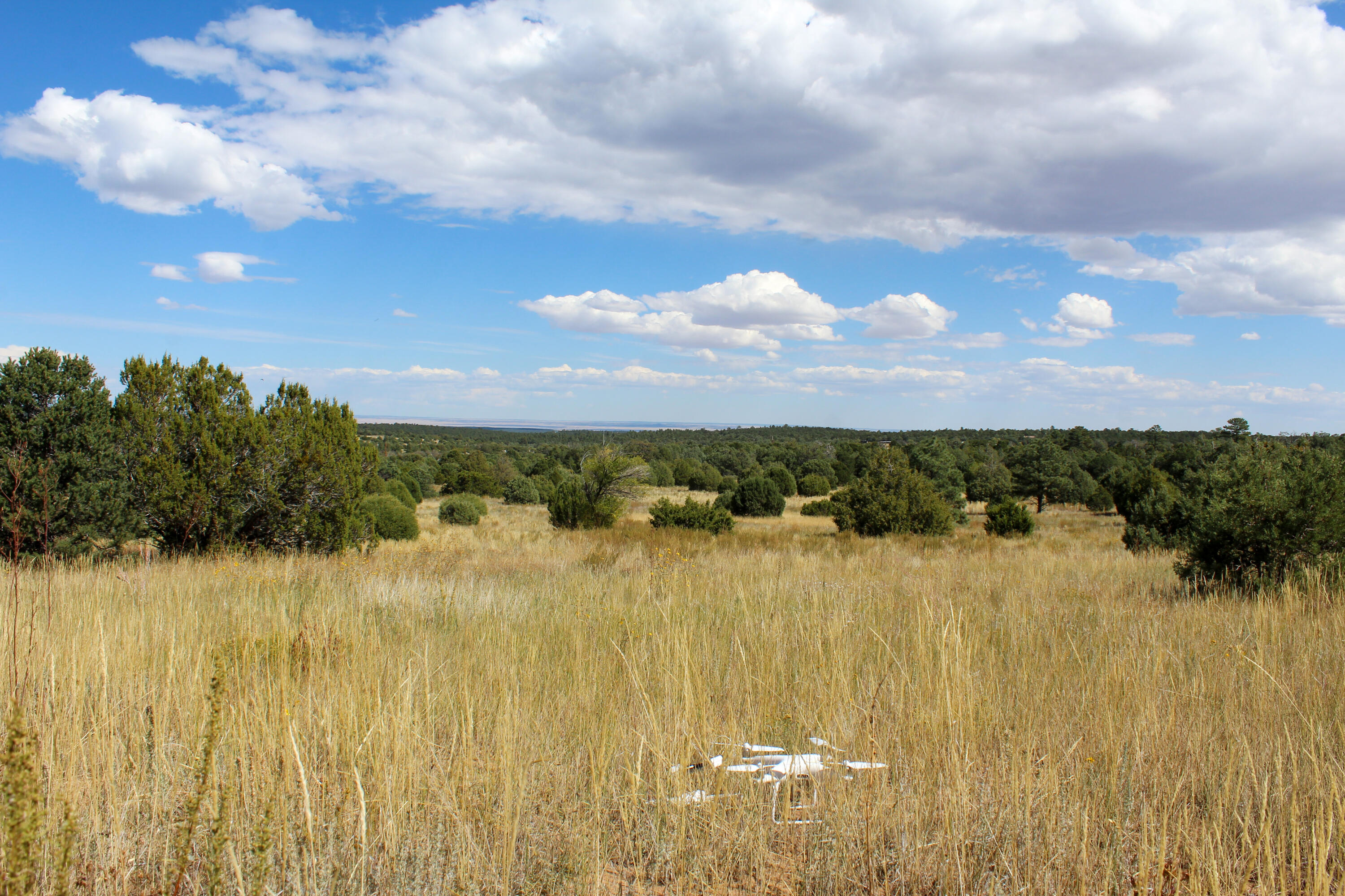 10398 Nm 337, Tijeras, New Mexico image 19
