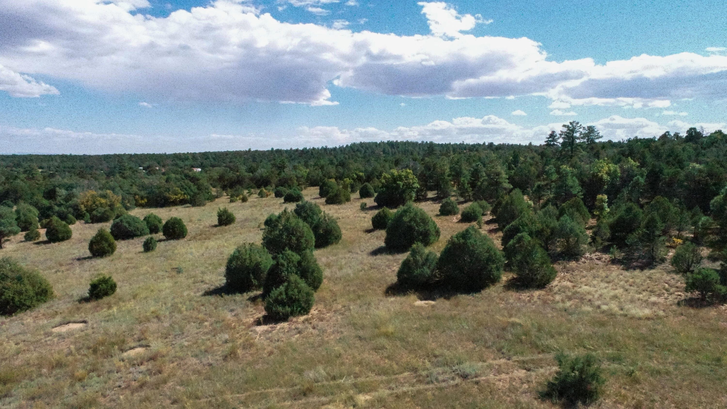 10398 Nm 337, Tijeras, New Mexico image 23