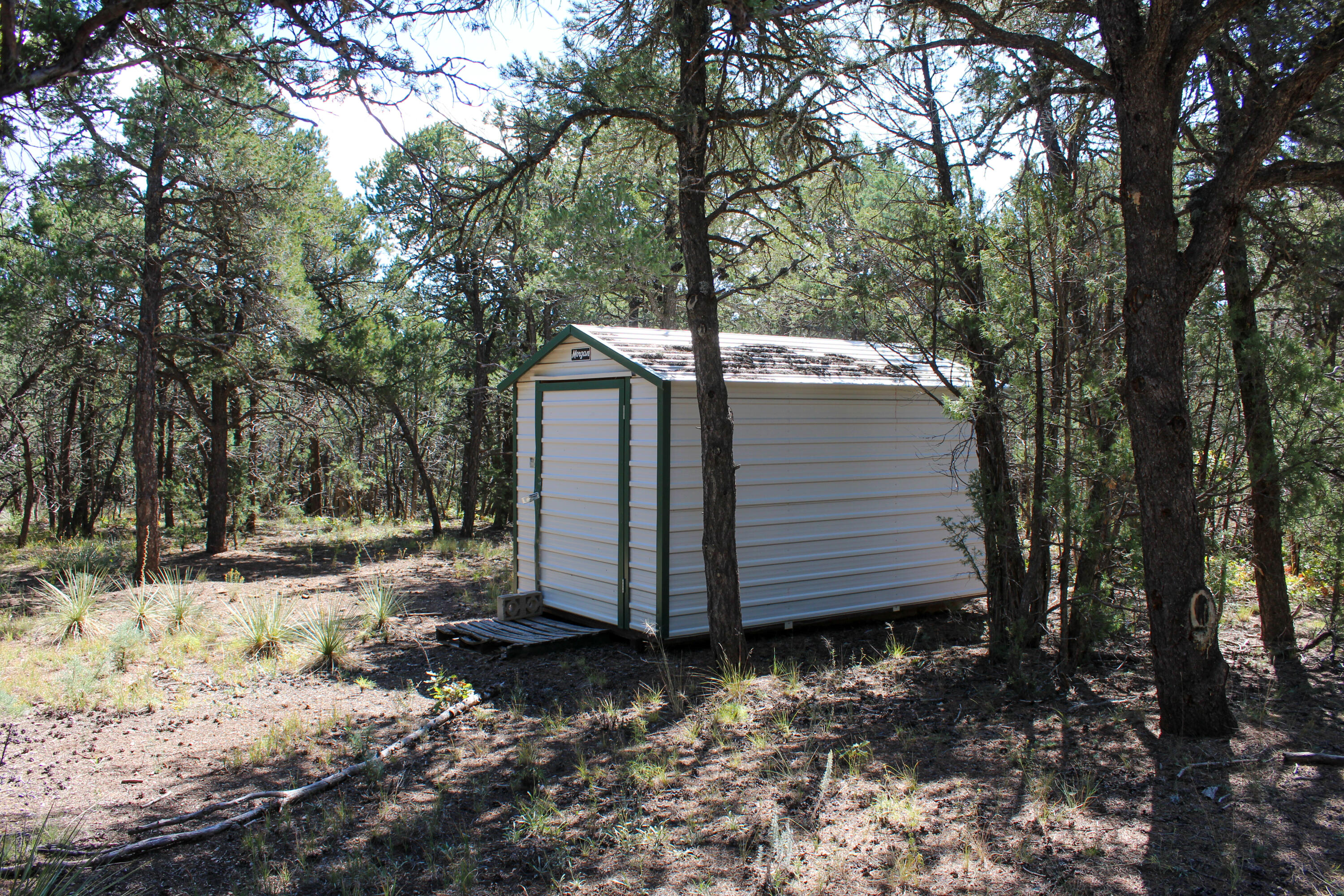 10398 Nm 337, Tijeras, New Mexico image 13