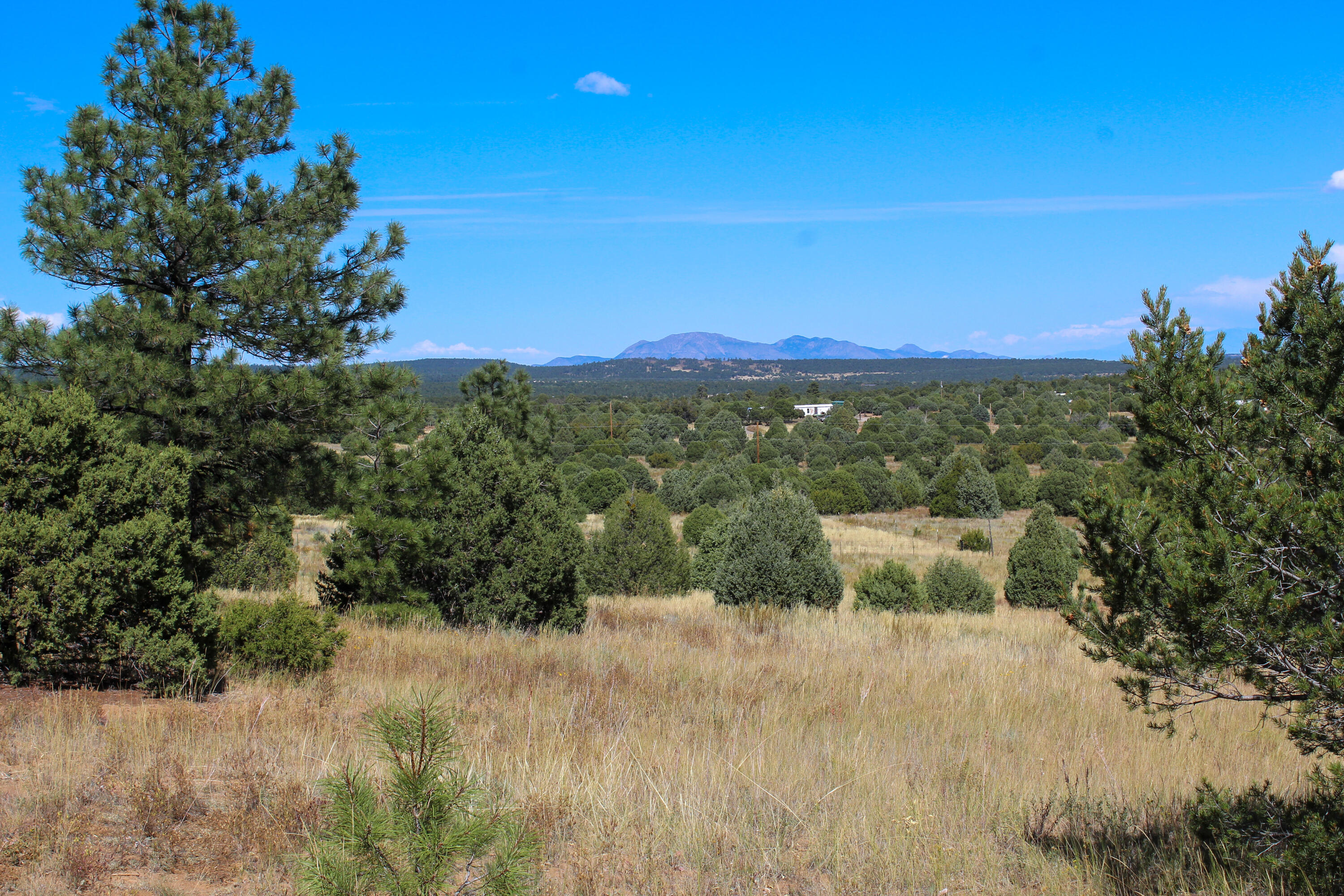 10398 Nm 337, Tijeras, New Mexico image 1