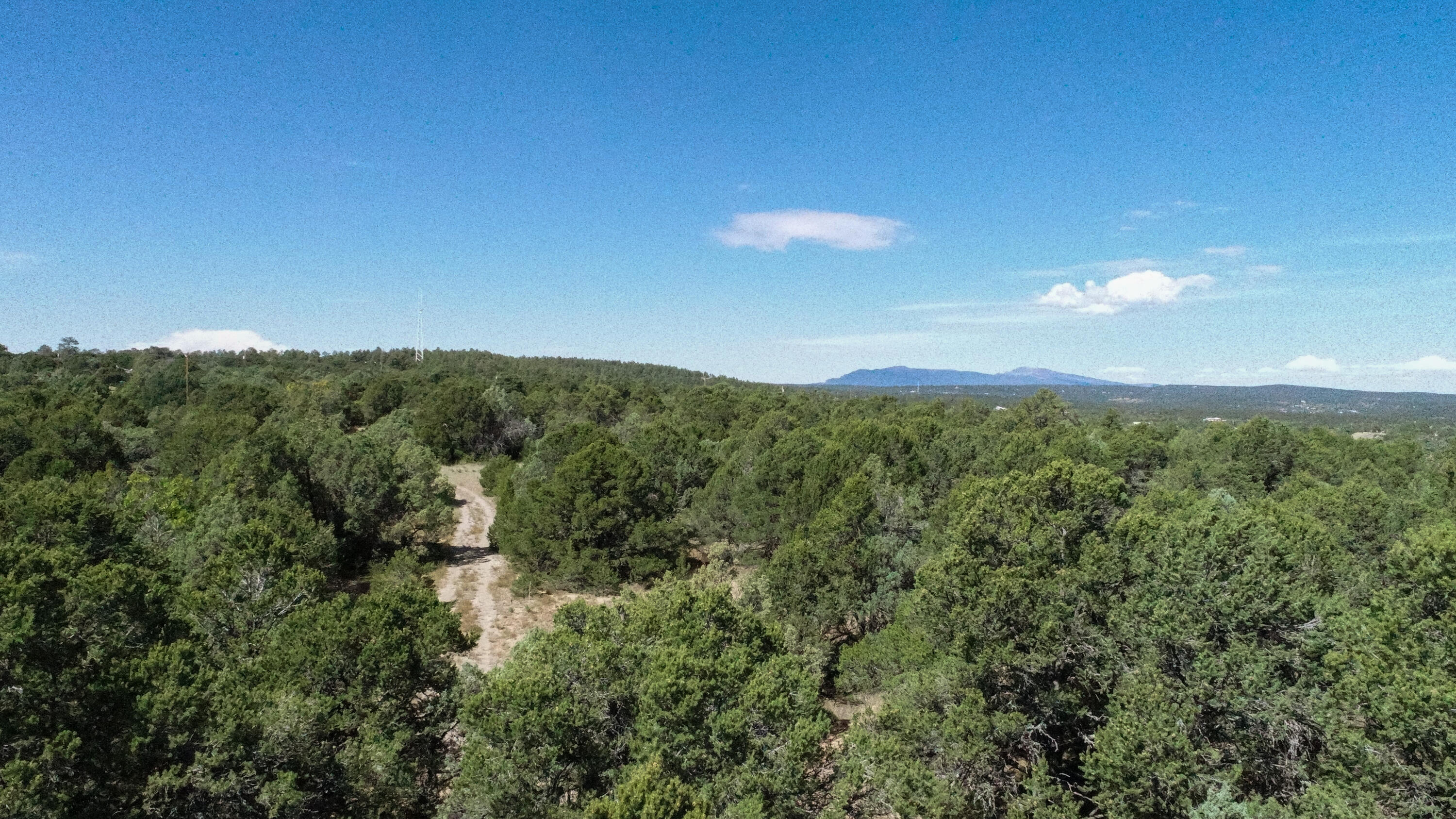 10398 Nm 337, Tijeras, New Mexico image 12