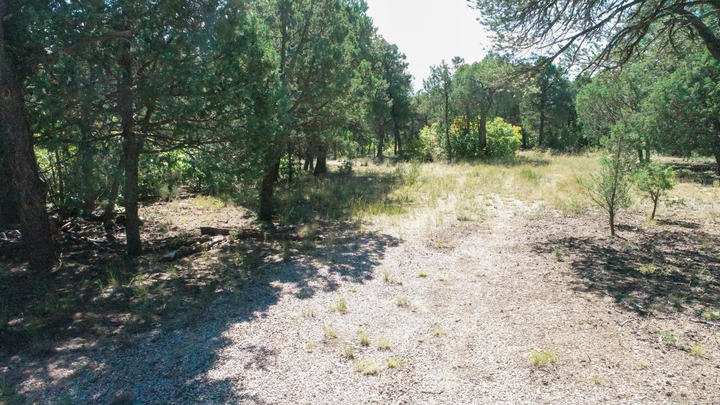 10398 Nm 337, Tijeras, New Mexico image 6