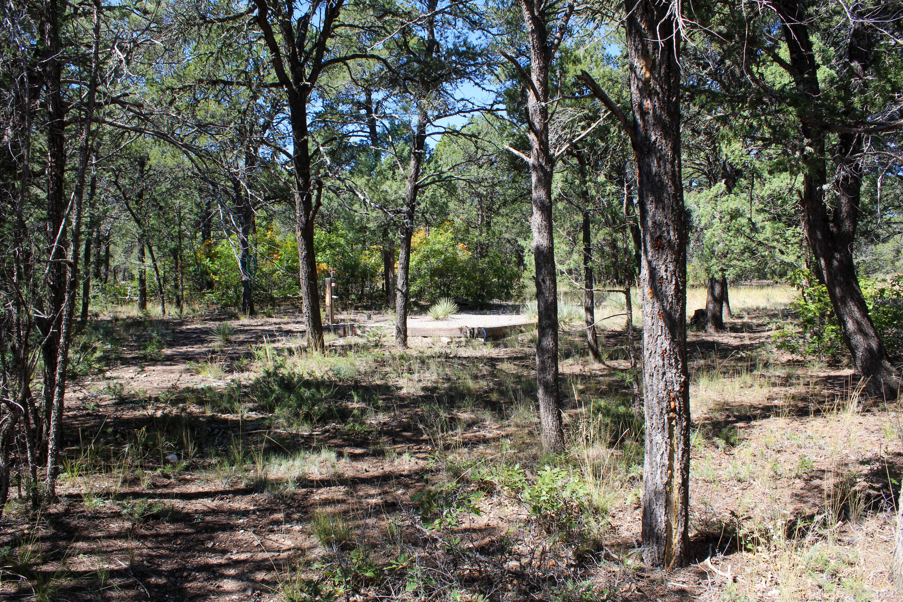 10398 Nm 337, Tijeras, New Mexico image 5