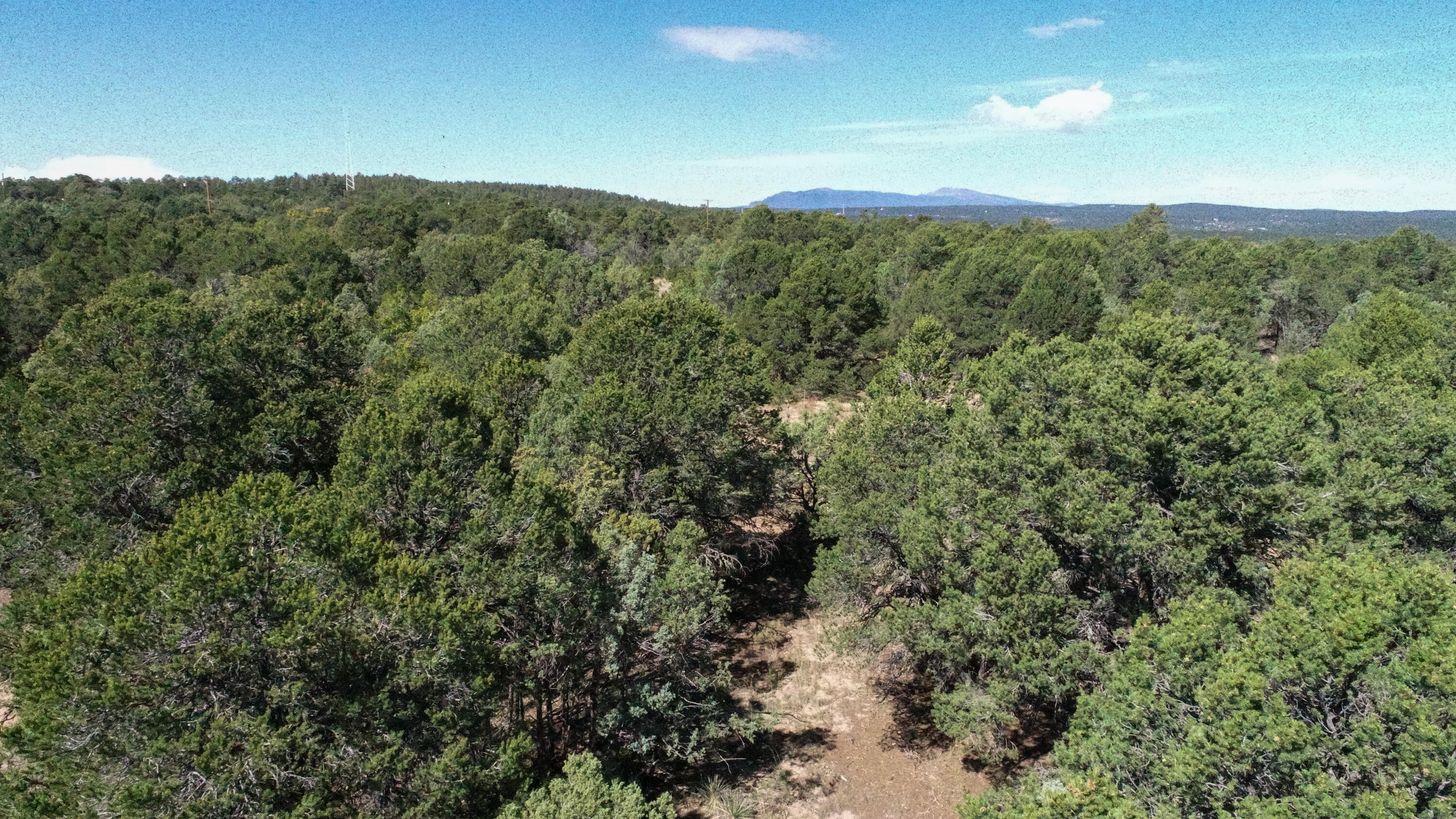 10398 Nm 337, Tijeras, New Mexico image 21