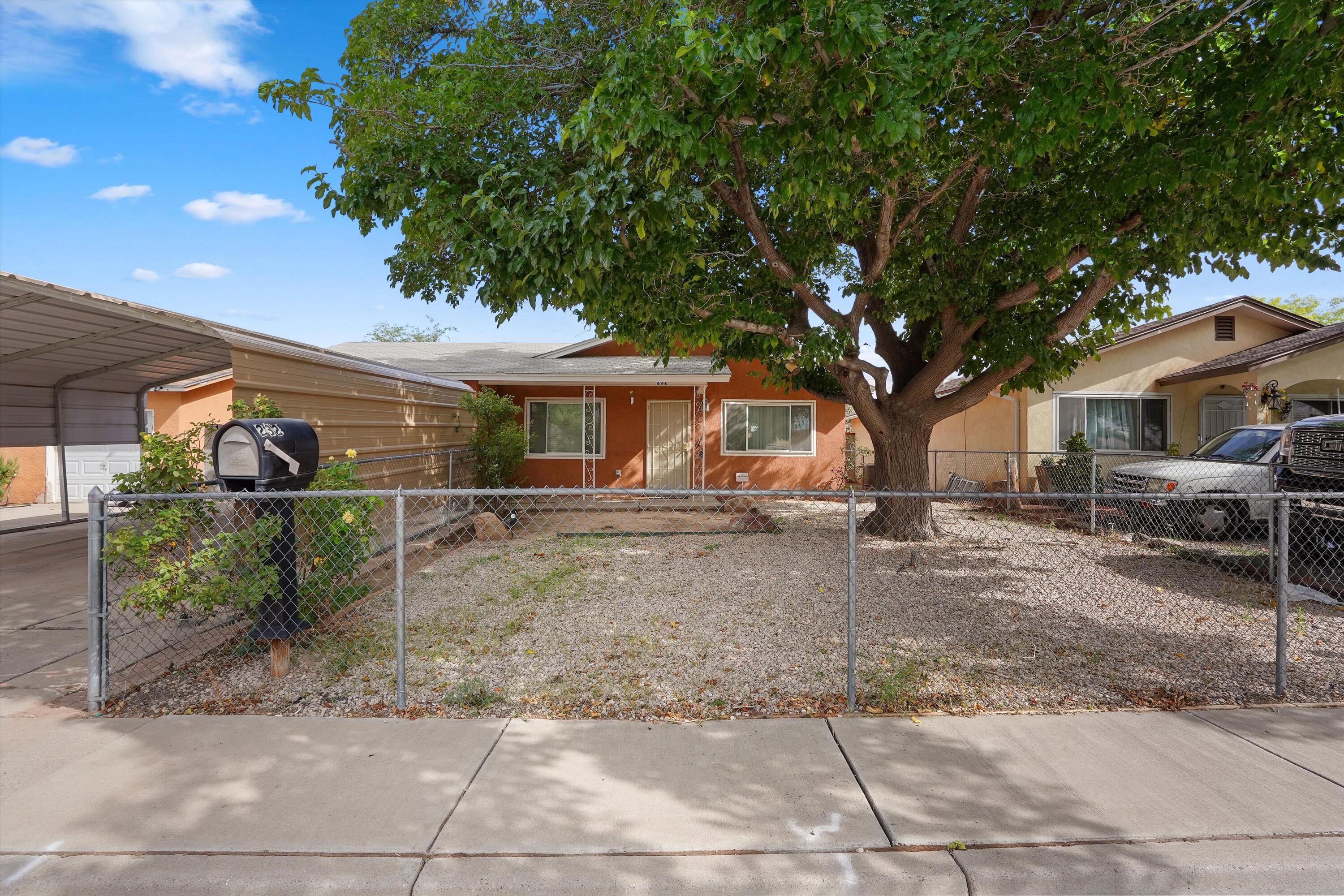 232 Shirley Street NE