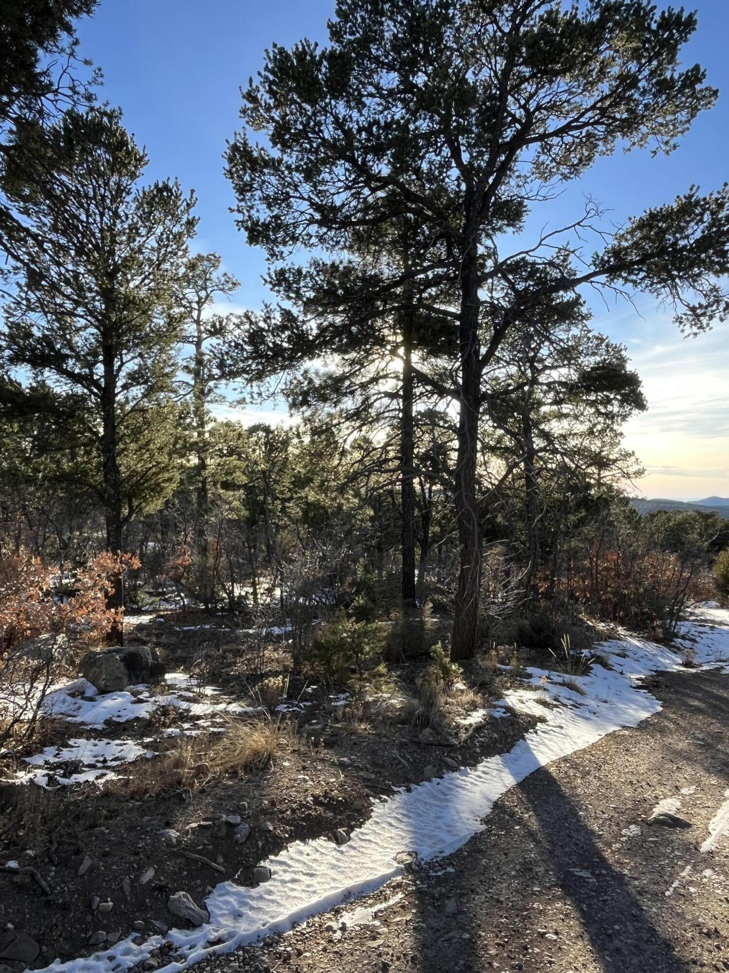 11 Pine Top Court, Tijeras, New Mexico image 4