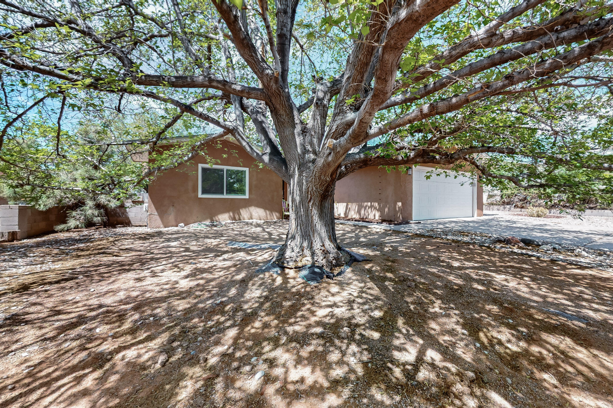 619 Marquis Drive, Albuquerque, New Mexico image 2