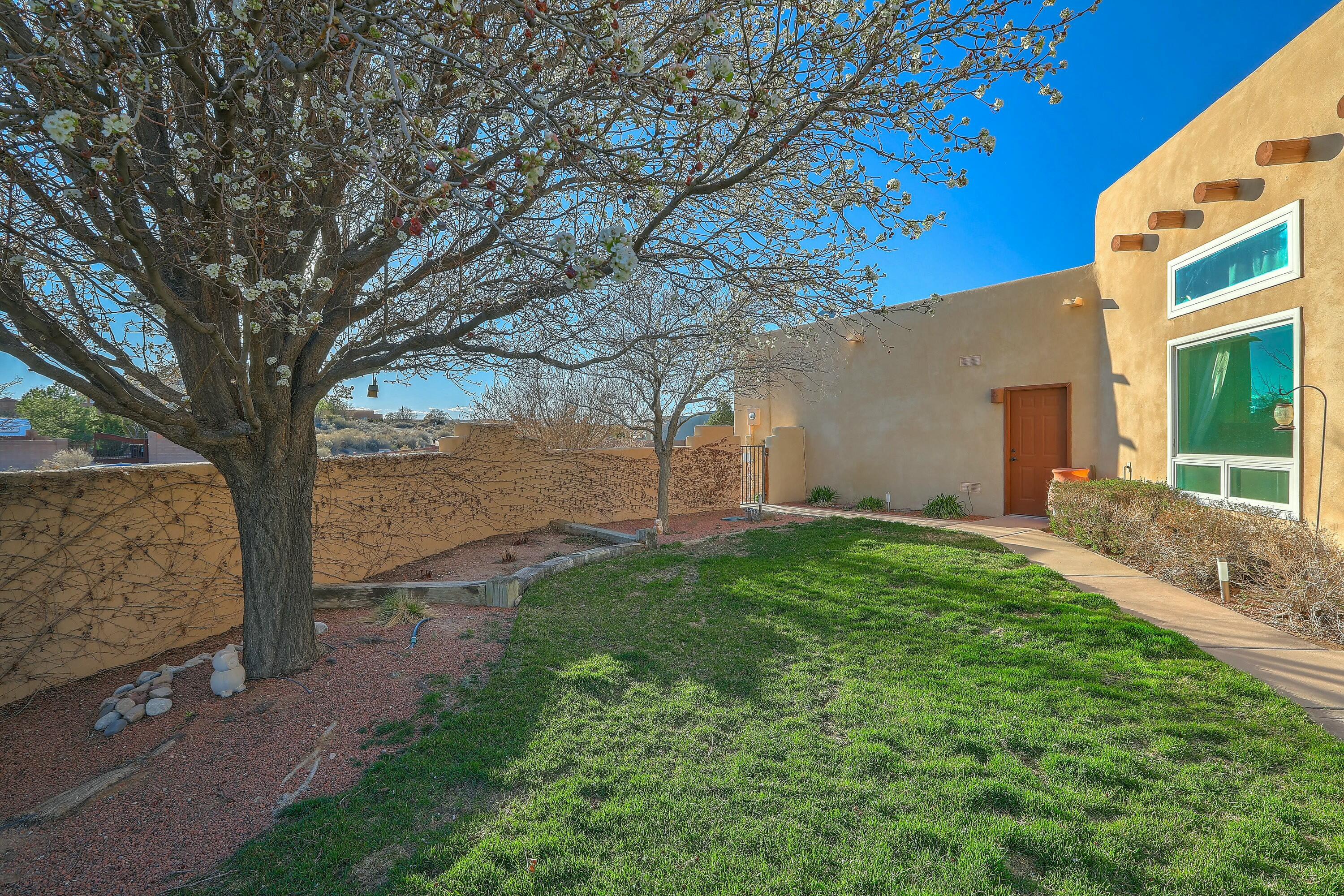 4409 Huron Drive, Rio Rancho, New Mexico image 37