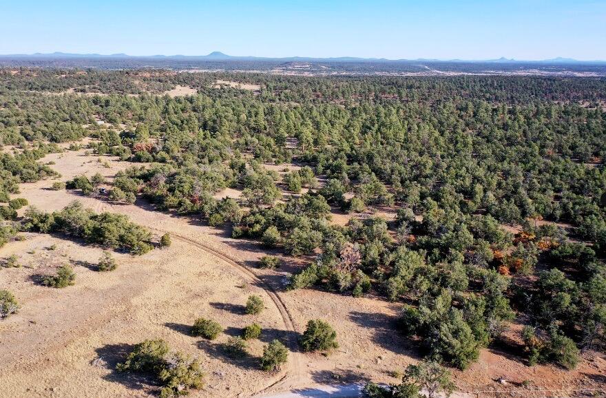 17 Hastings Loop, Ramah, New Mexico image 1