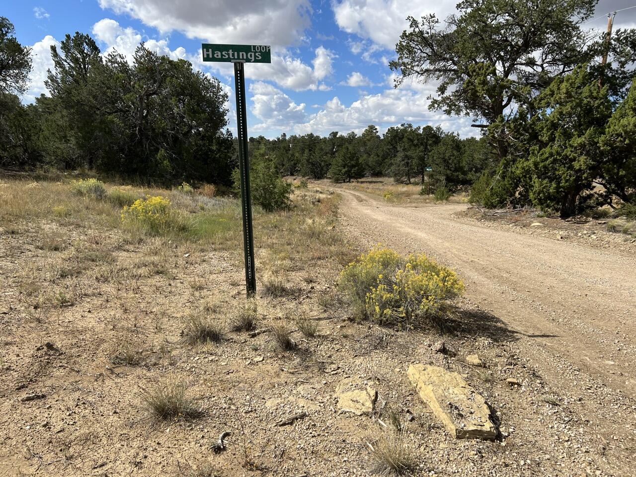 17 Hastings Loop, Ramah, New Mexico image 5