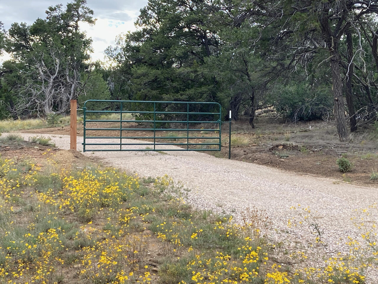 17 Hastings Loop, Ramah, New Mexico image 23