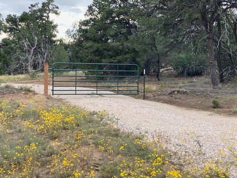 Vacant Land For Sale - 17 Hastings Loop<br/> Ramah, NM 87321