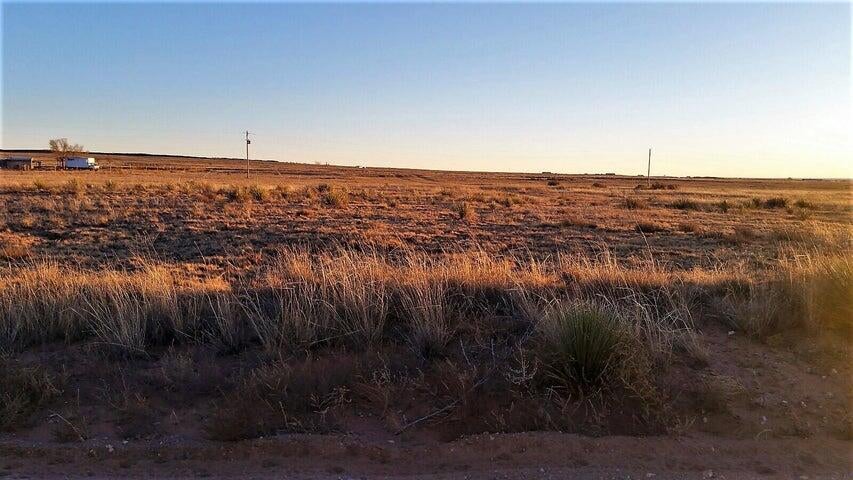 Palomino Drive Lot 2