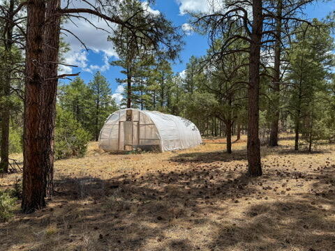 34 Halcon Road, Ramah, New Mexico image 30