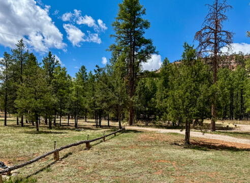 34 Halcon Road, Ramah, New Mexico image 34