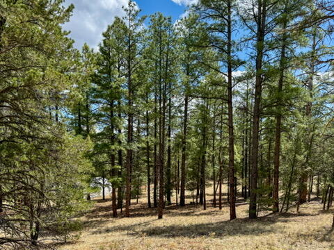 34 Halcon Road, Ramah, New Mexico image 39