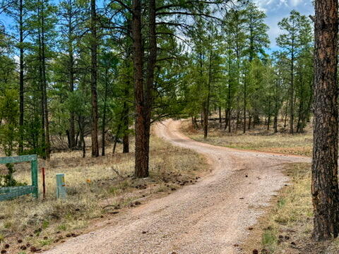34 Halcon Road, Ramah, New Mexico image 37