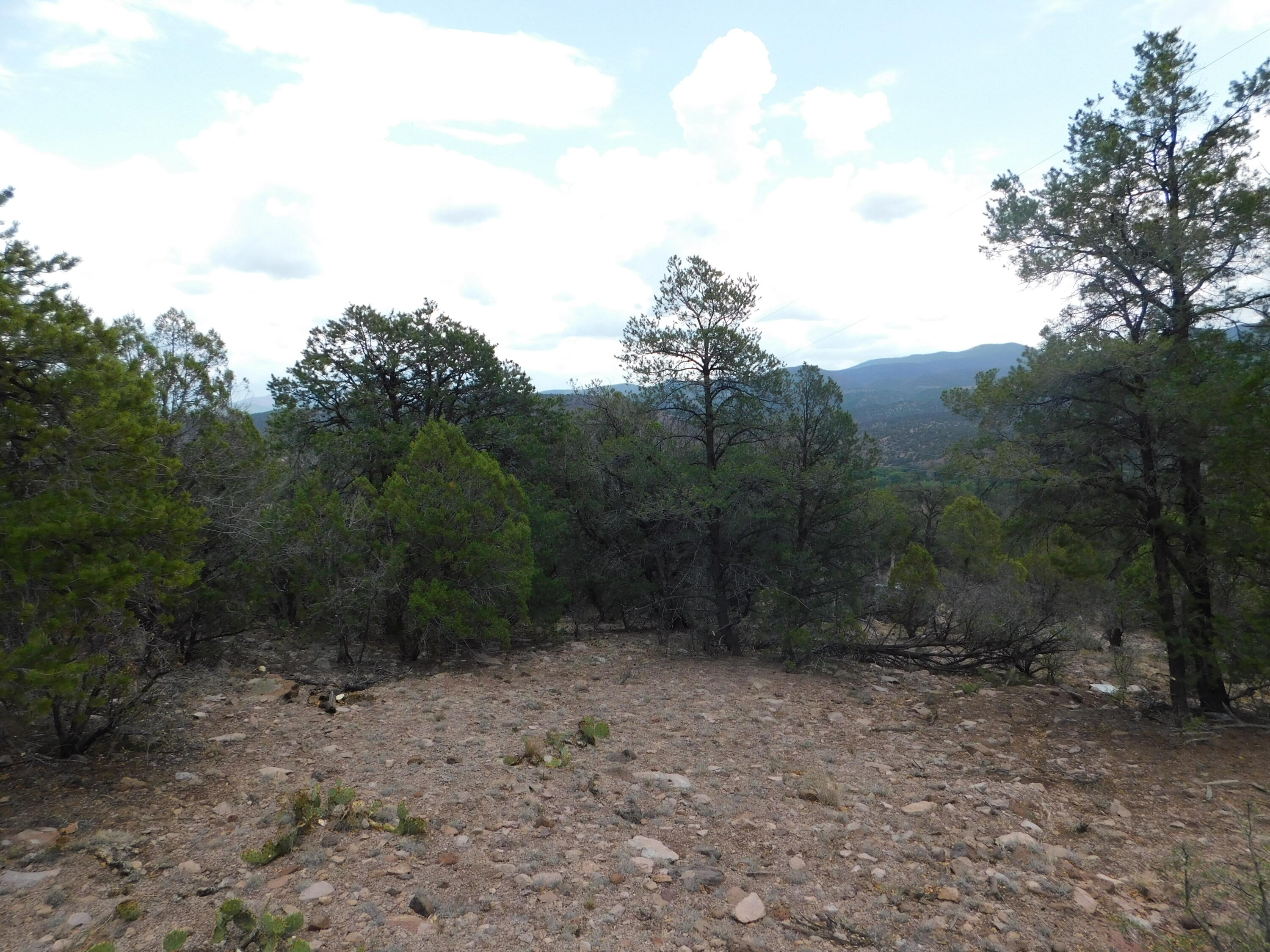 27 & 28 West Rivers Road, Reserve, New Mexico image 9