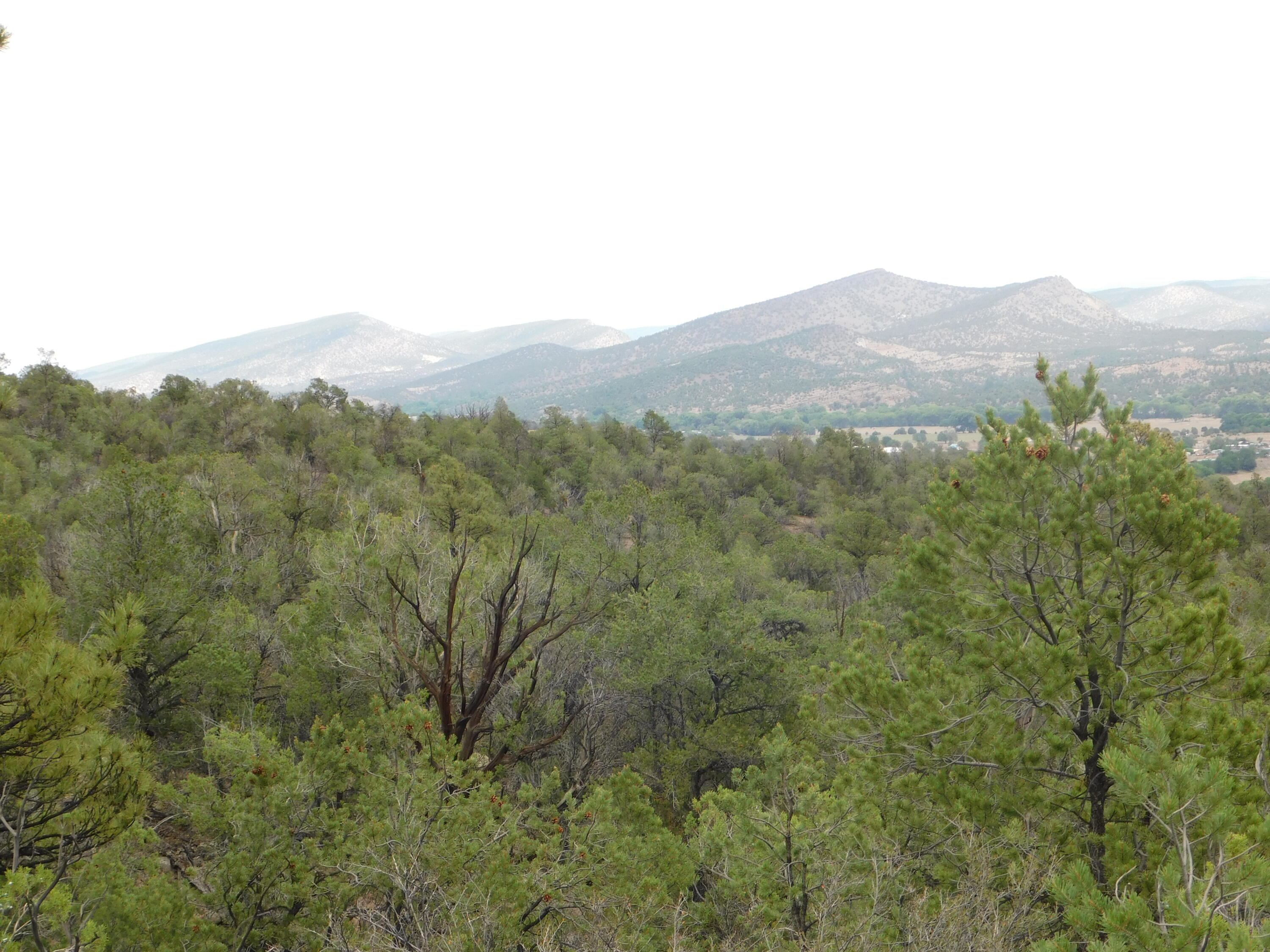 27 & 28 West Rivers Road, Reserve, New Mexico image 2