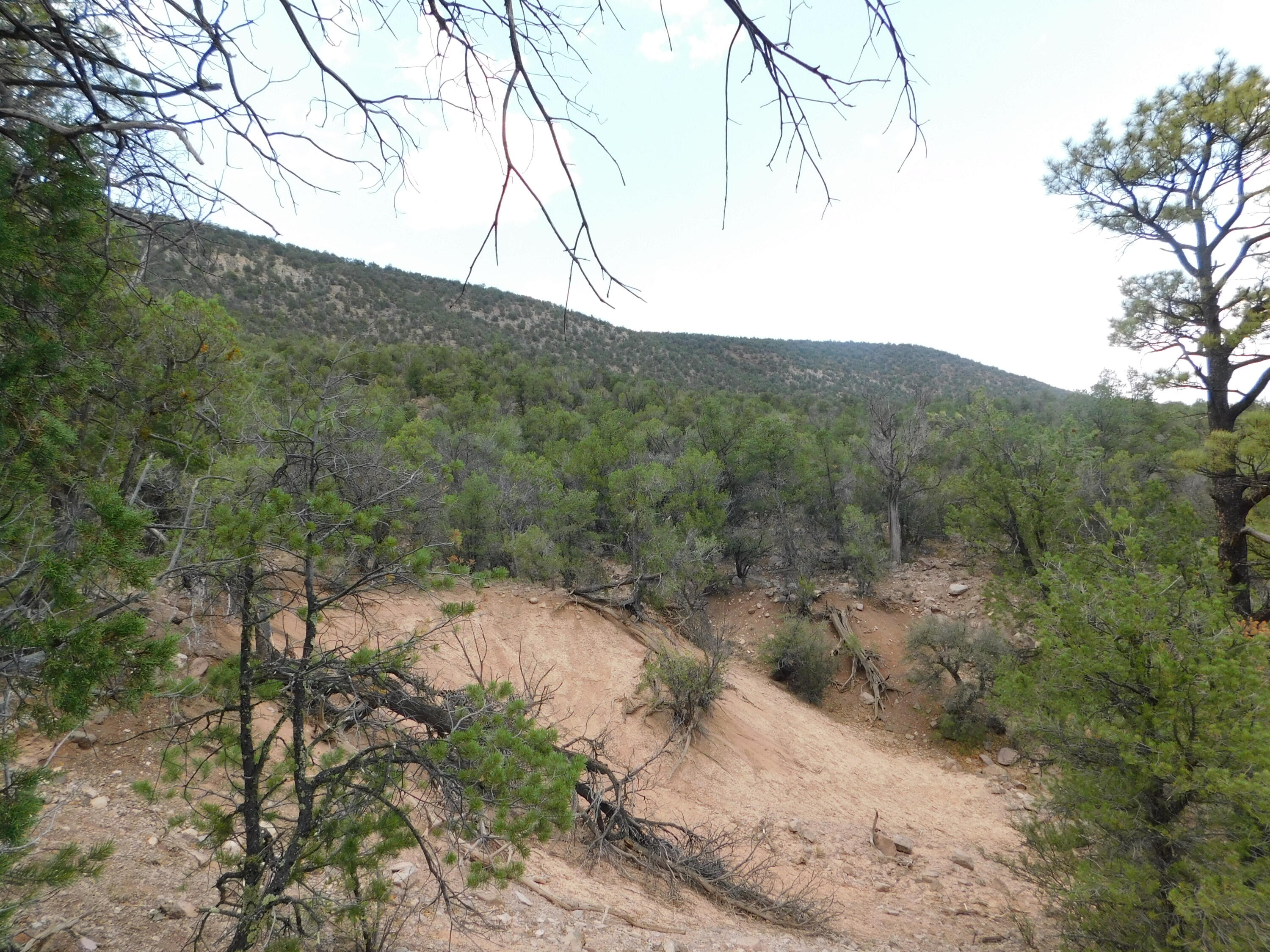 27 & 28 West Rivers Road, Reserve, New Mexico image 10